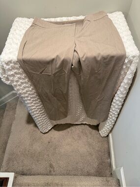 Ann Taylor Factory Neutral Taupe Dress Pants